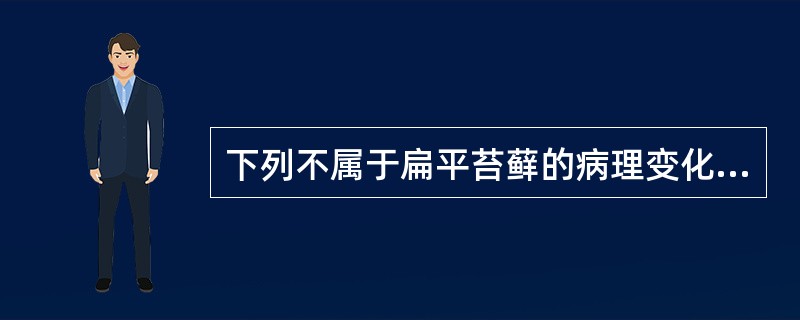 下列不属于扁平苔藓的病理变化的是（）。