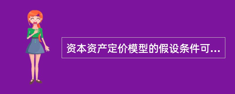 资本资产定价模型的假设条件可概括为（）。