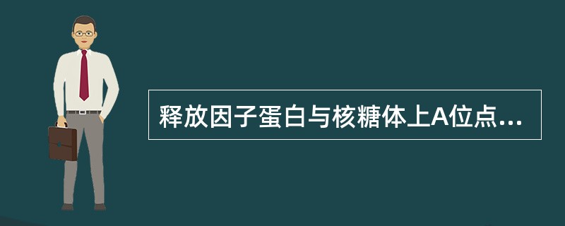 释放因子蛋白与核糖体上A位点的（）密码结合，导致肽基转移酶水解连接新生多肽与tR