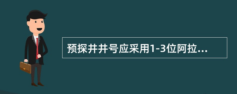 预探井井号应采用1-3位阿拉伯数字。