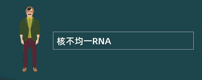 核不均一RNA