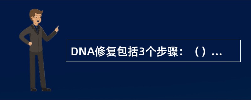 DNA修复包括3个步骤：（）酶对DNA链上不正常碱基的识别与切除，（）酶对已切除