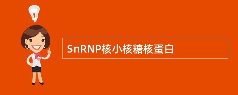 SnRNP核小核糖核蛋白
