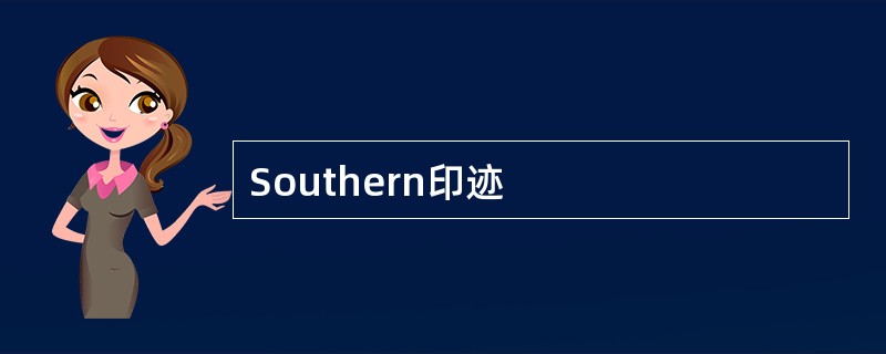 Southern印迹