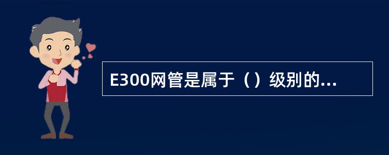 E300网管是属于（）级别的网络管理系统。