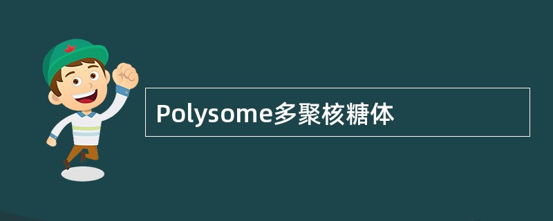 Polysome多聚核糖体