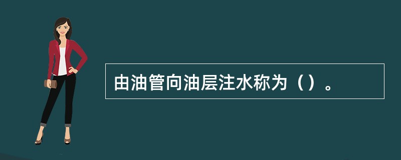 由油管向油层注水称为（）。