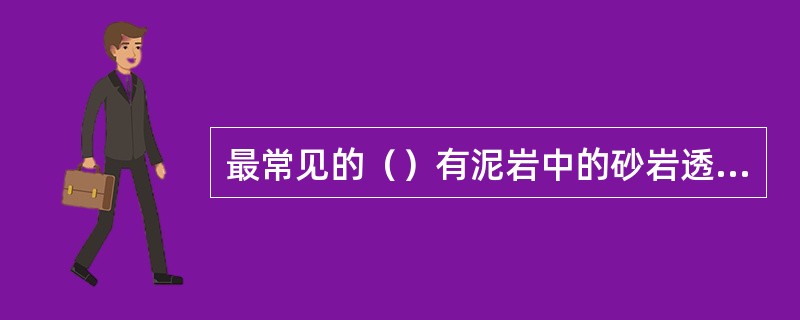 最常见的（）有泥岩中的砂岩透镜体，或低渗透性岩层中的高渗透带。