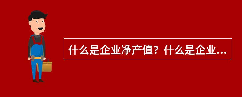 什么是企业净产值？什么是企业纯收入？