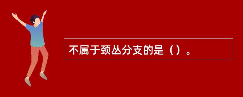 不属于颈丛分支的是（）。