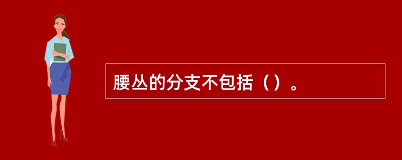 腰丛的分支不包括（）。