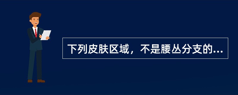 下列皮肤区域，不是腰丛分支的分布范围的是（）。