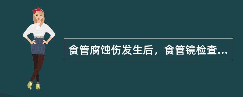 食管腐蚀伤发生后，食管镜检查应在（）。