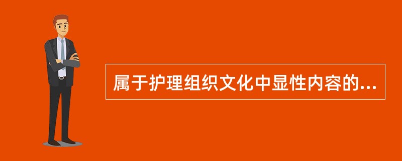 属于护理组织文化中显性内容的是（）。