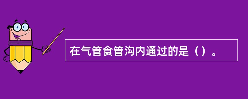 在气管食管沟内通过的是（）。