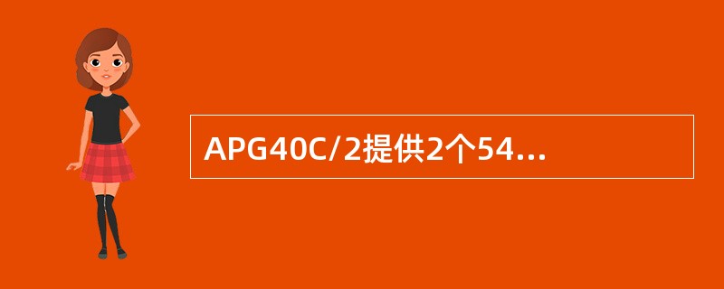 APG40C/2提供2个54GB的数据硬盘，因此数据存储容量为108GB.