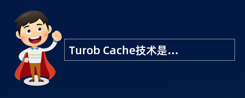 Turob Cache技术是由哪个厂家推出的。（）