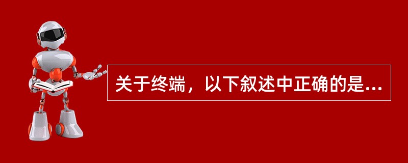 关于终端，以下叙述中正确的是（）.