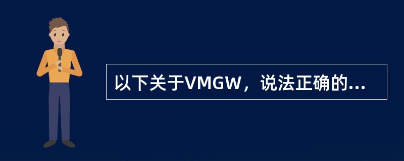 以下关于VMGW，说法正确的是（）