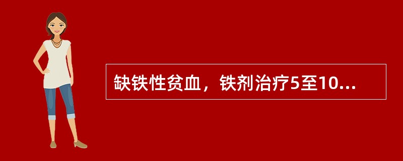 缺铁性贫血，铁剂治疗5至10天首先出现的治疗反应是（）。