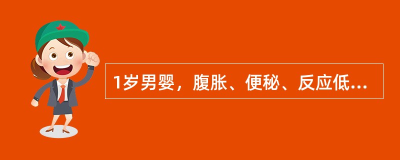 1岁男婴，腹胀、便秘、反应低下、少哭多睡11个月来诊。体检：T36．2℃，四肢稍