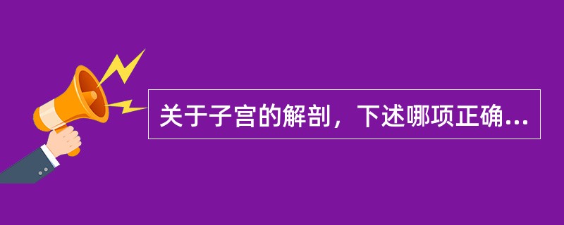 关于子宫的解剖，下述哪项正确（）。