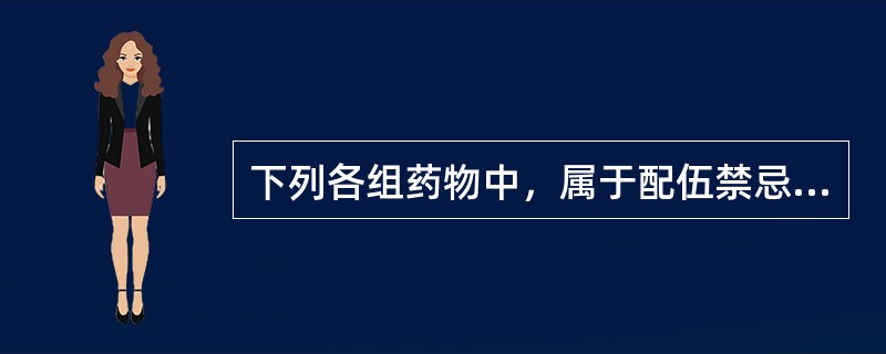 下列各组药物中，属于配伍禁忌的是（）。