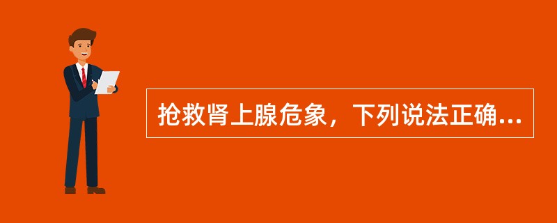 抢救肾上腺危象，下列说法正确的是（）。