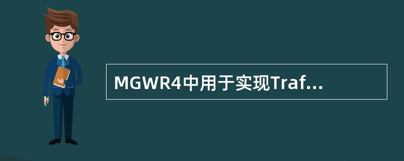 MGWR4中用于实现Traffic overIP的接口板是？（）