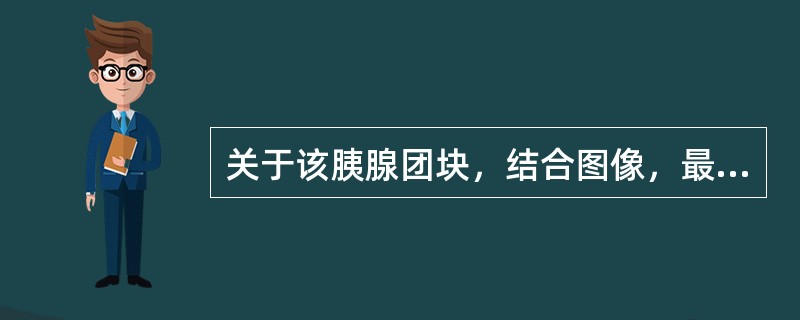 关于该胰腺团块，结合图像，最可能的诊断是()