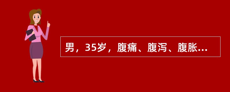 男，35岁，腹痛、腹泻、腹胀、脓血便、里急后重，结合图像，最可能的诊断是()