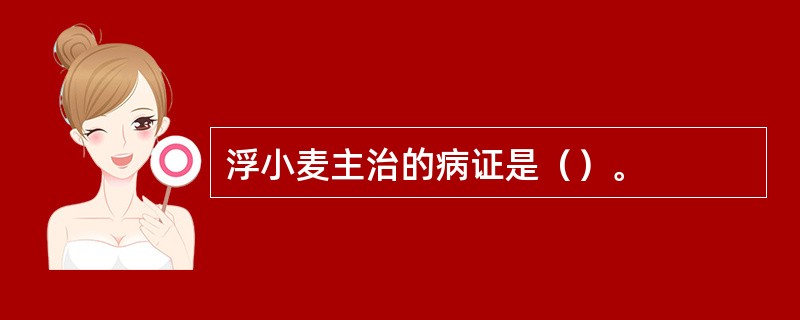 浮小麦主治的病证是（）。