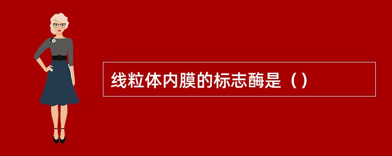 线粒体内膜的标志酶是（）