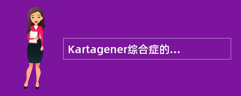 Kartagener综合症的发病机制是由于（）