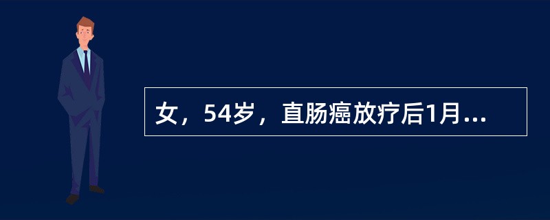 女，54岁，直肠癌放疗后1月，阵发性腹痛腹胀，呕吐，CT表现如图，最可能的诊断为