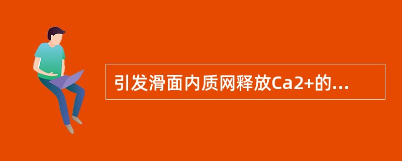 引发滑面内质网释放Ca2+的第二信使分子是（）