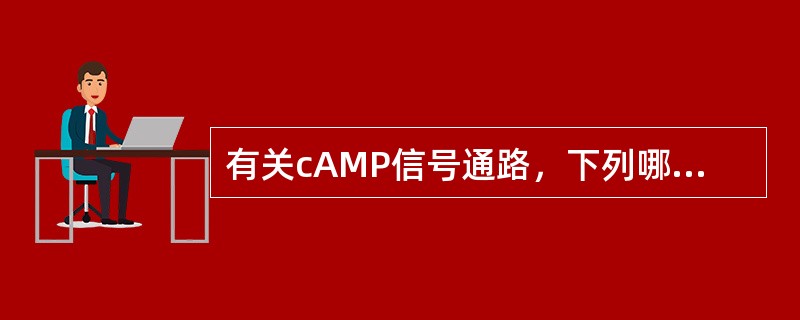 有关cAMP信号通路，下列哪项叙述是正确的（）