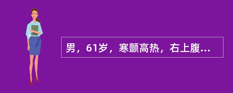 男，61岁，寒颤高热，右上腹痛，白细胞计数升高，CT检查如图，最可能的诊断是()