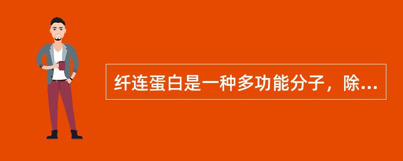 纤连蛋白是一种多功能分子，除介导细胞黏着外，还参与（）