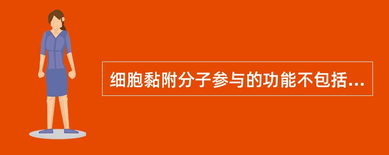 细胞黏附分子参与的功能不包括（）