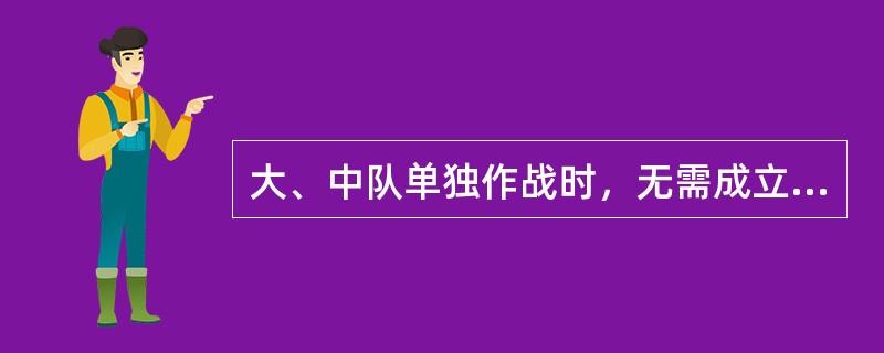 大、中队单独作战时，无需成立组织指挥机构。（）