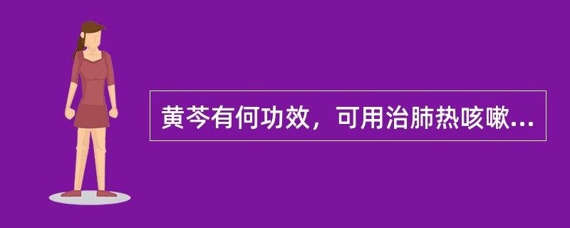 黄芩有何功效，可用治肺热咳嗽之痰黄稠兼大肠湿热泄泻（）。