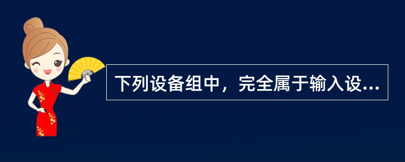 下列设备组中，完全属于输入设备的一组是（）