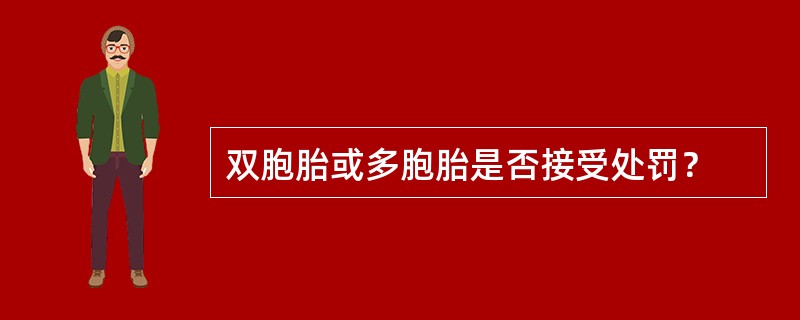 双胞胎或多胞胎是否接受处罚？
