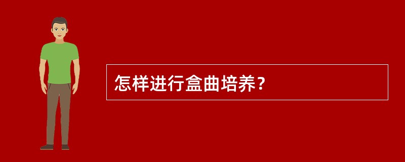 怎样进行盒曲培养？