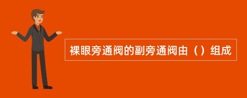裸眼旁通阀的副旁通阀由（）组成