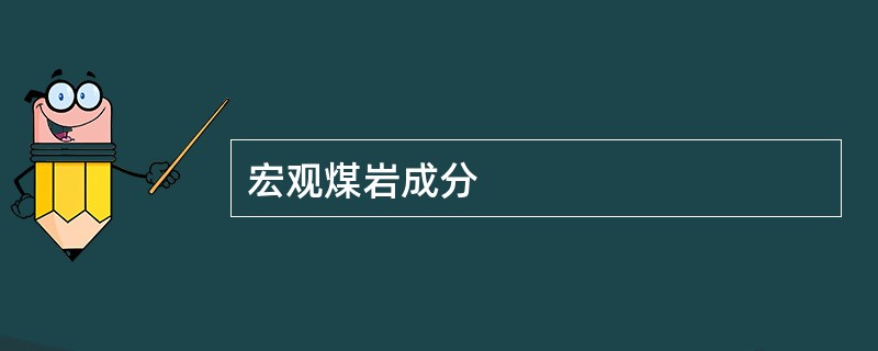宏观煤岩成分