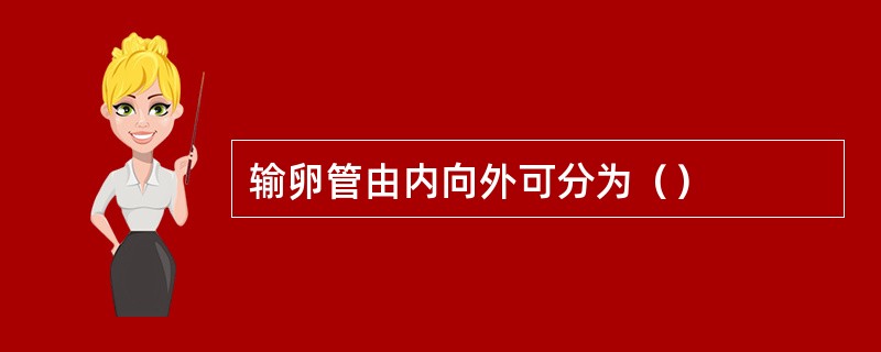 输卵管由内向外可分为（）