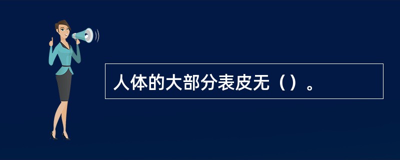 人体的大部分表皮无（）。