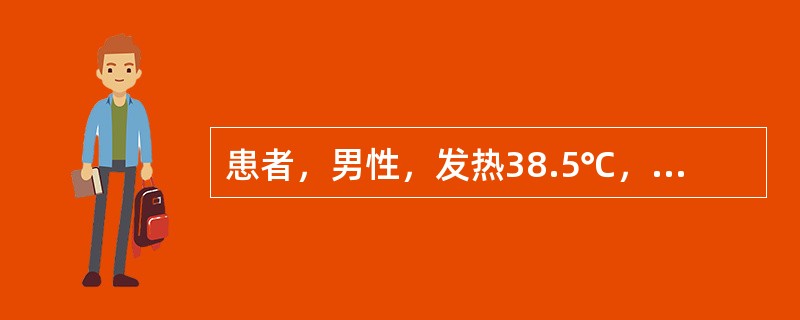 患者，男性，发热38.5℃，全身有小出血点，头晕乏力，经医院查血红蛋白80g／L